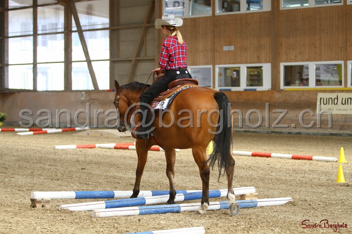 26-ApHC GT_037.jpg